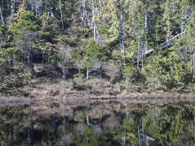View 22