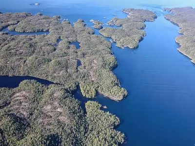 View 7