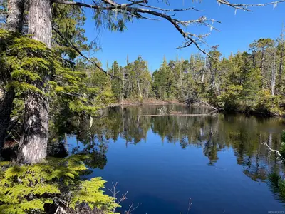 View 36