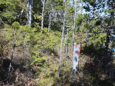 View 32