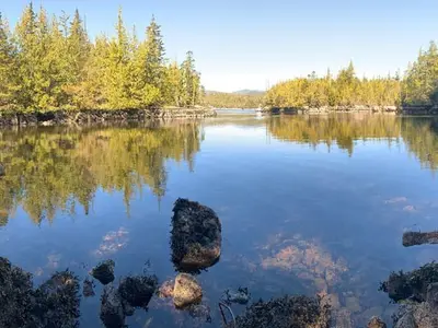 View 20