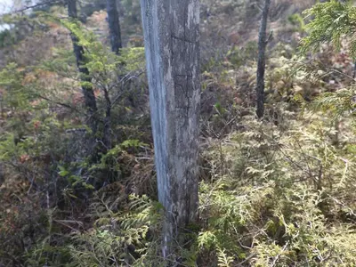 View 30