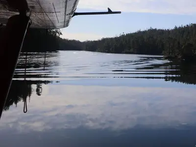 View 15