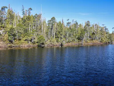 View 19