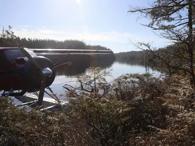 View 25