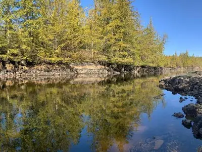 View 21