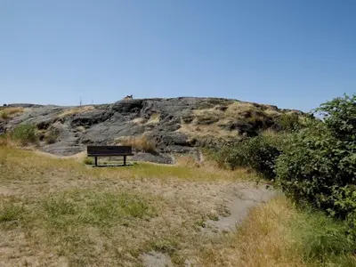 View 33