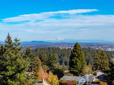 View 10