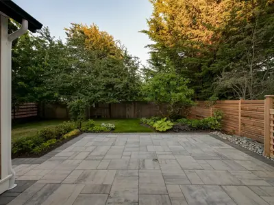 View 50