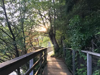 View 14
