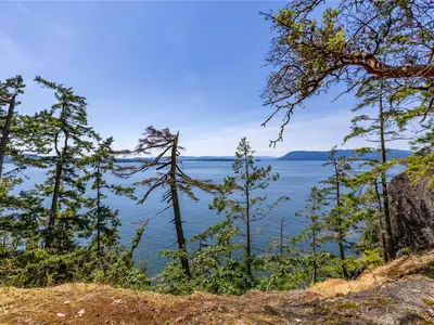 View 27