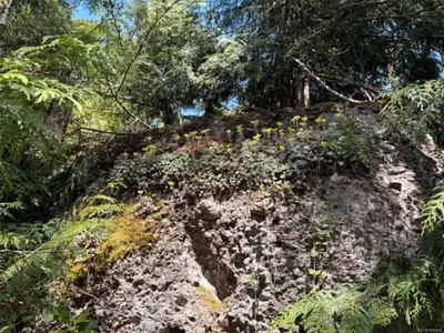 View 36