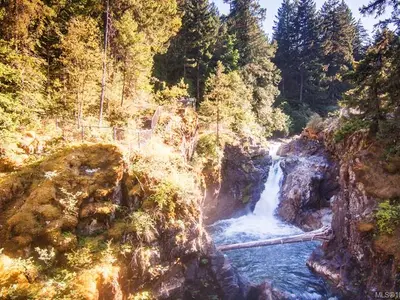 View 11