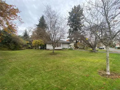 View 53