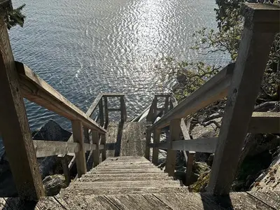 View 66