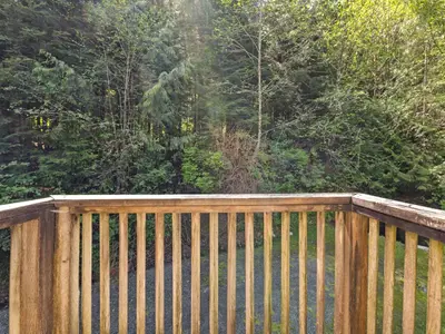 View 14
