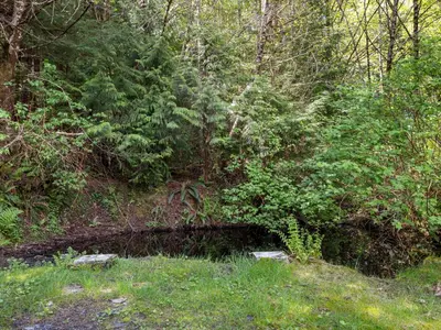 View 29