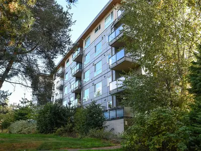 View 30
