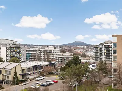 View 23