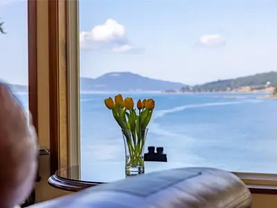 View 5