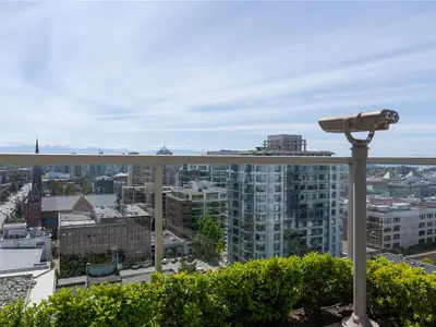 View 17