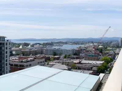 View 14
