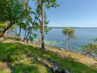 View 59