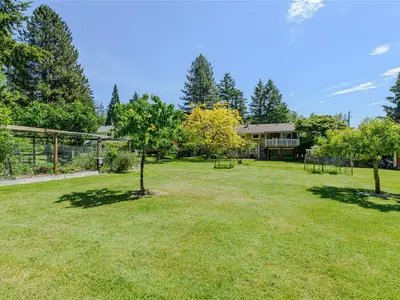 View 53