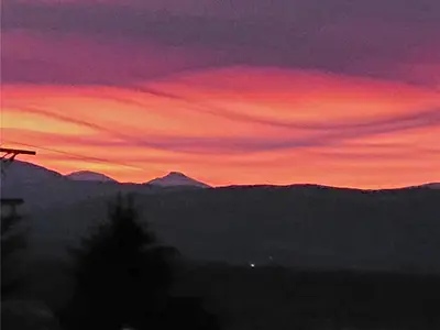 View 25