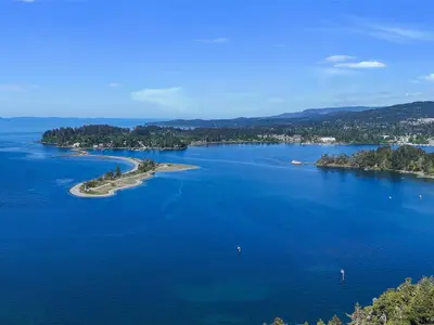 View 14
