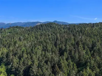 View 12