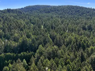 View 11