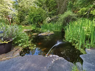 View 34