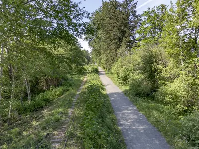 View 39