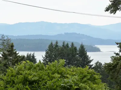 View 1
