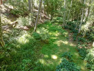 View 15