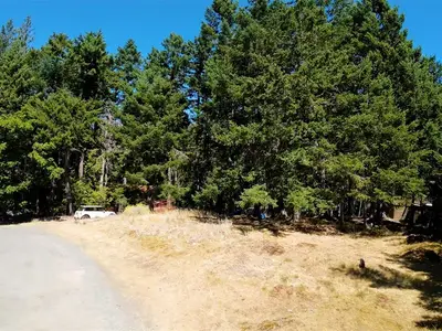 View 19