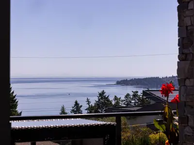 View 23