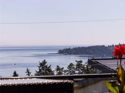 View 24