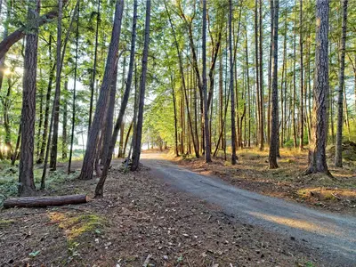 View 23