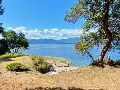 View 16