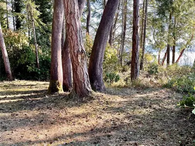 View 15