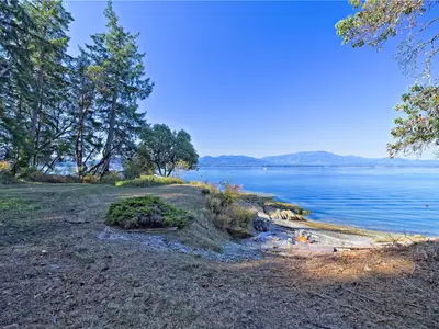 View 31