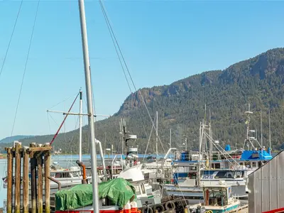 View 36