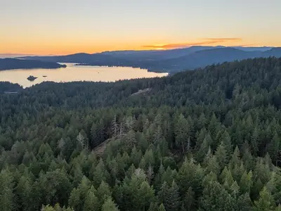 View 13