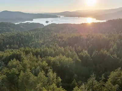 View 7