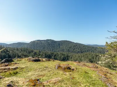 View 1