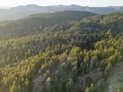 View 10