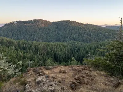 View 4