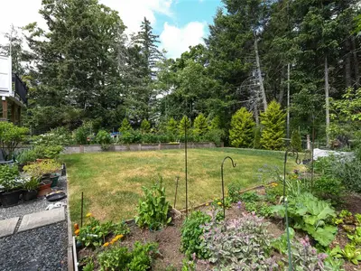 View 36